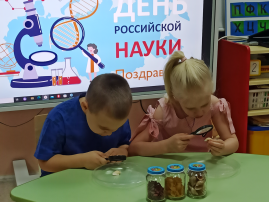 День российской науки День российской науки.